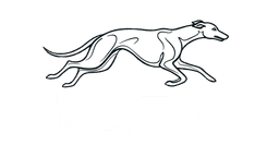 Veltro Software Logo