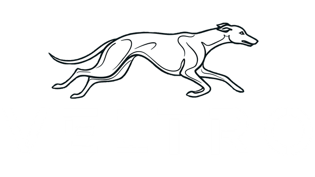 Veltro Software Logo